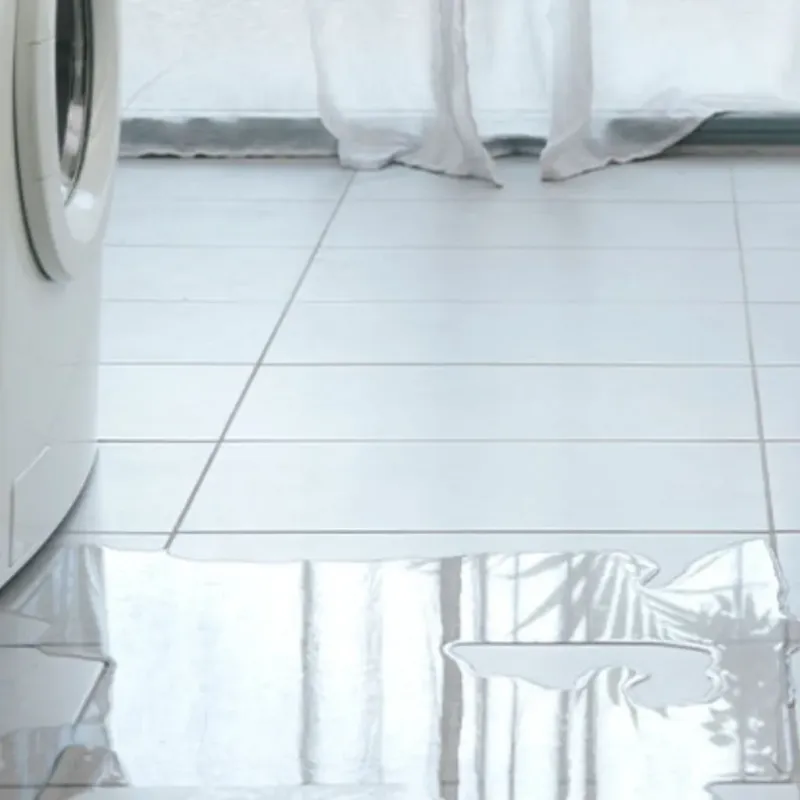Appliance Leak Cleanup in Gridley, IL