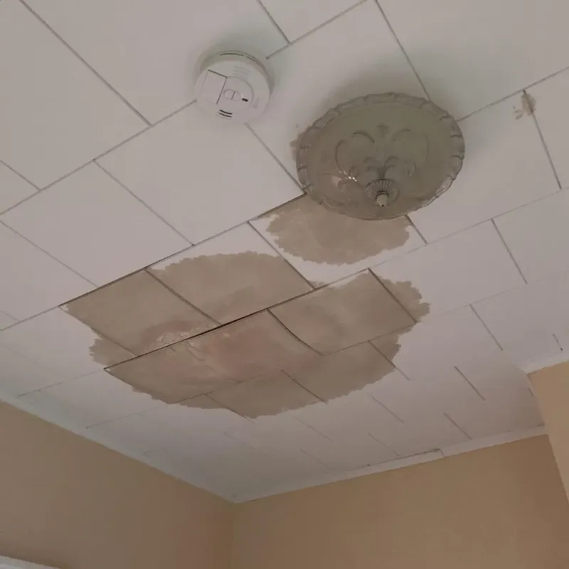 Ceiling Water Damage Repair in Gridley, IL
