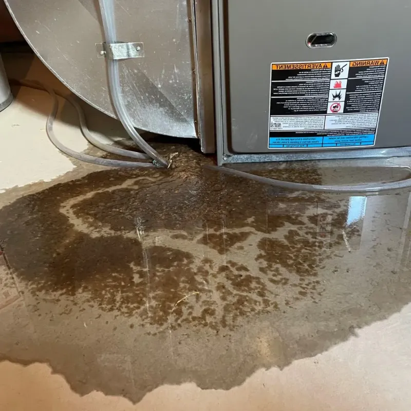 Pipe Burst and Leak Restoration in Gridley, IL