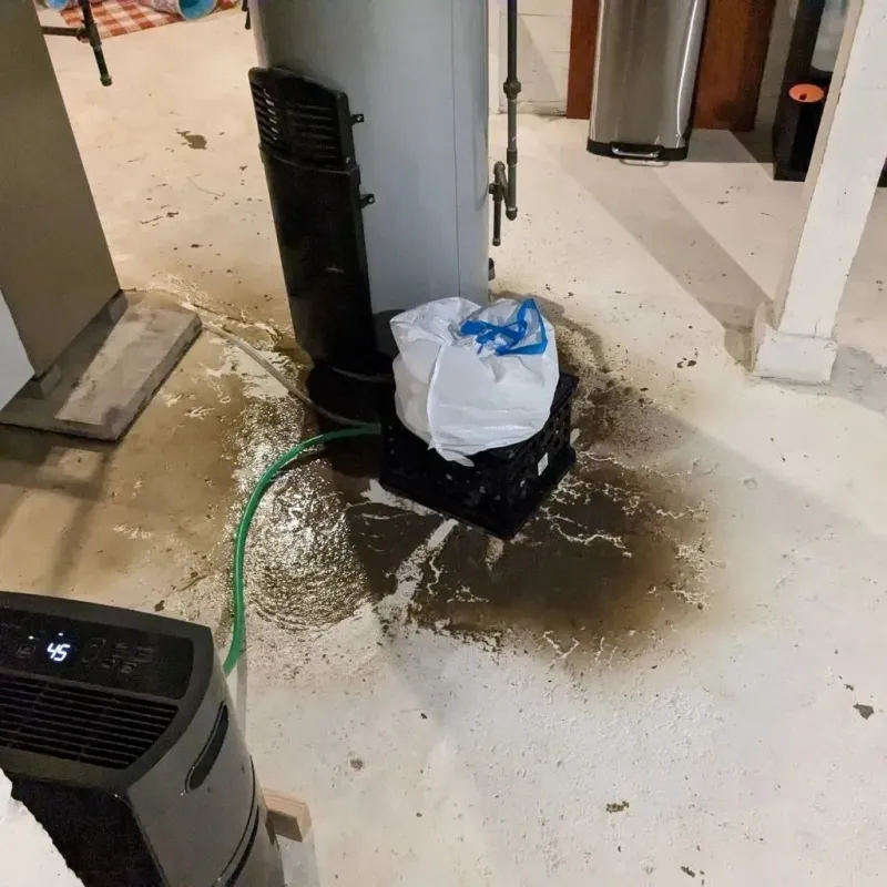 Sewage Backup Cleanup Service in Gridley, IL